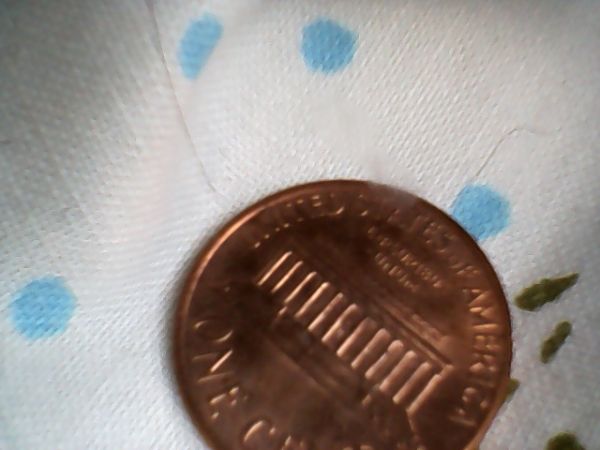 My-Luckiest-Find-Yet
